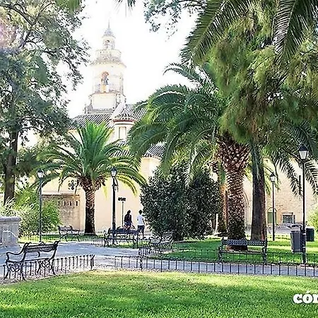 Apartamento Treehouse Avenida Barcelona
